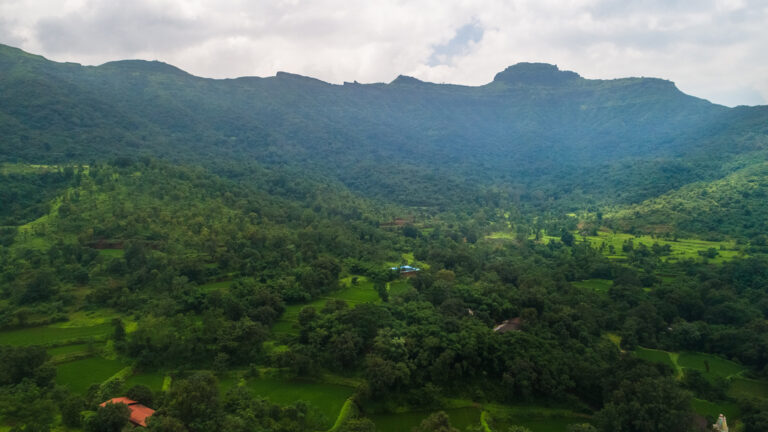 Preserving Verdant Velhe