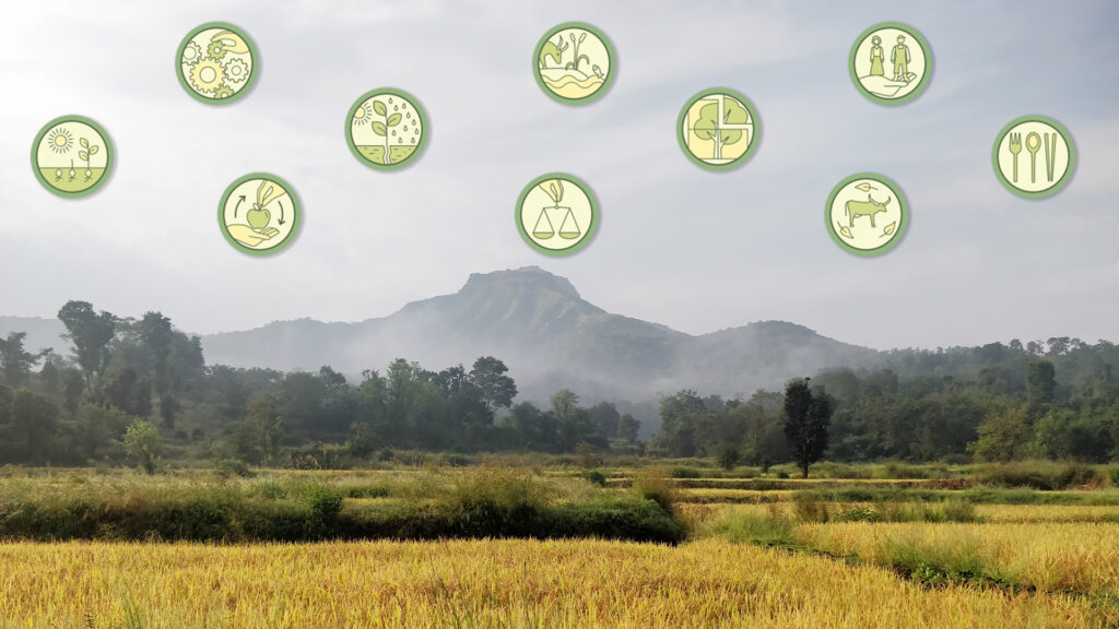 Can an Agroecological Approach to Food Production Harness India’s Demographic Dividend?