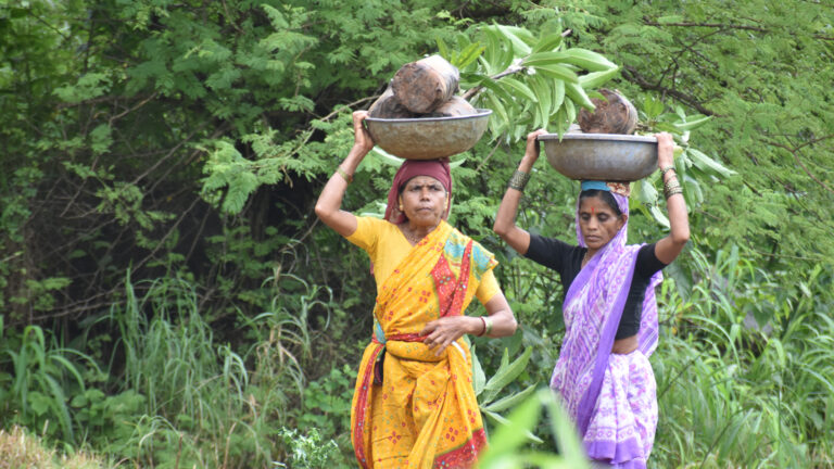 Growing Green Together!